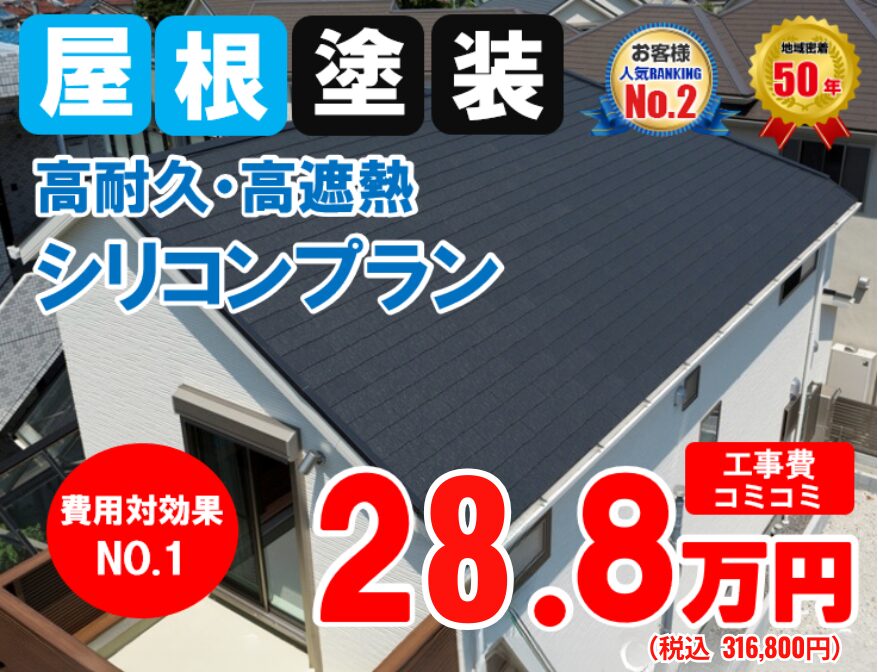 高耐久・高遮熱シリコンプラン