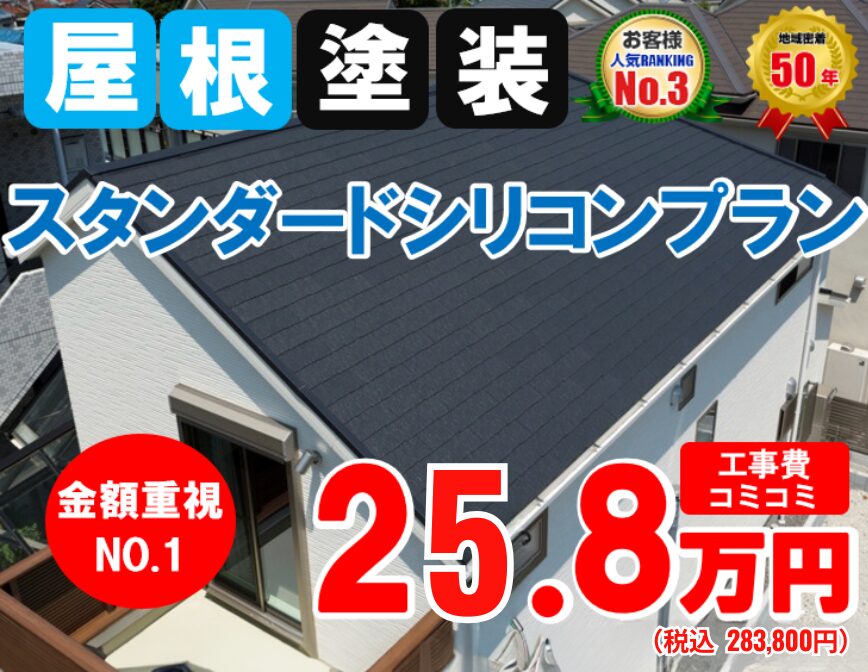 スタンダードシリコンプラン