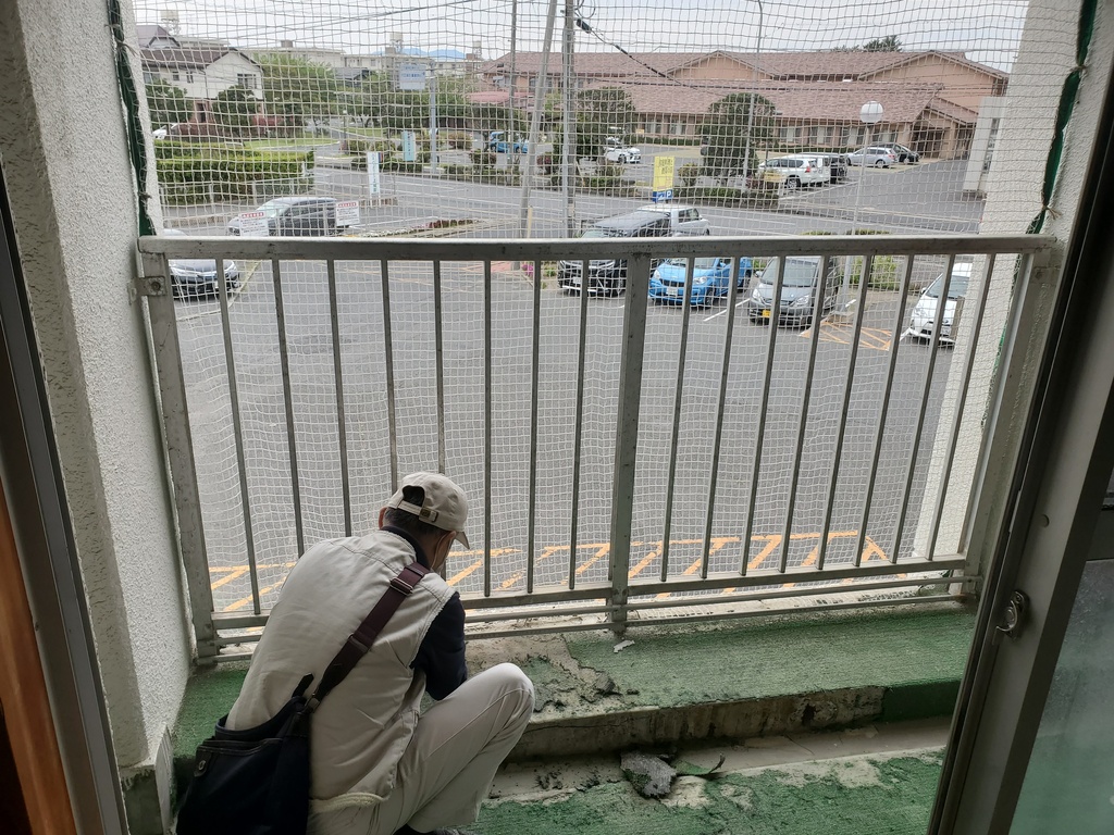 人工芝を剥がす様子