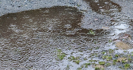 水たまり