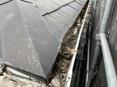 雨樋の詰まりや破損の写真